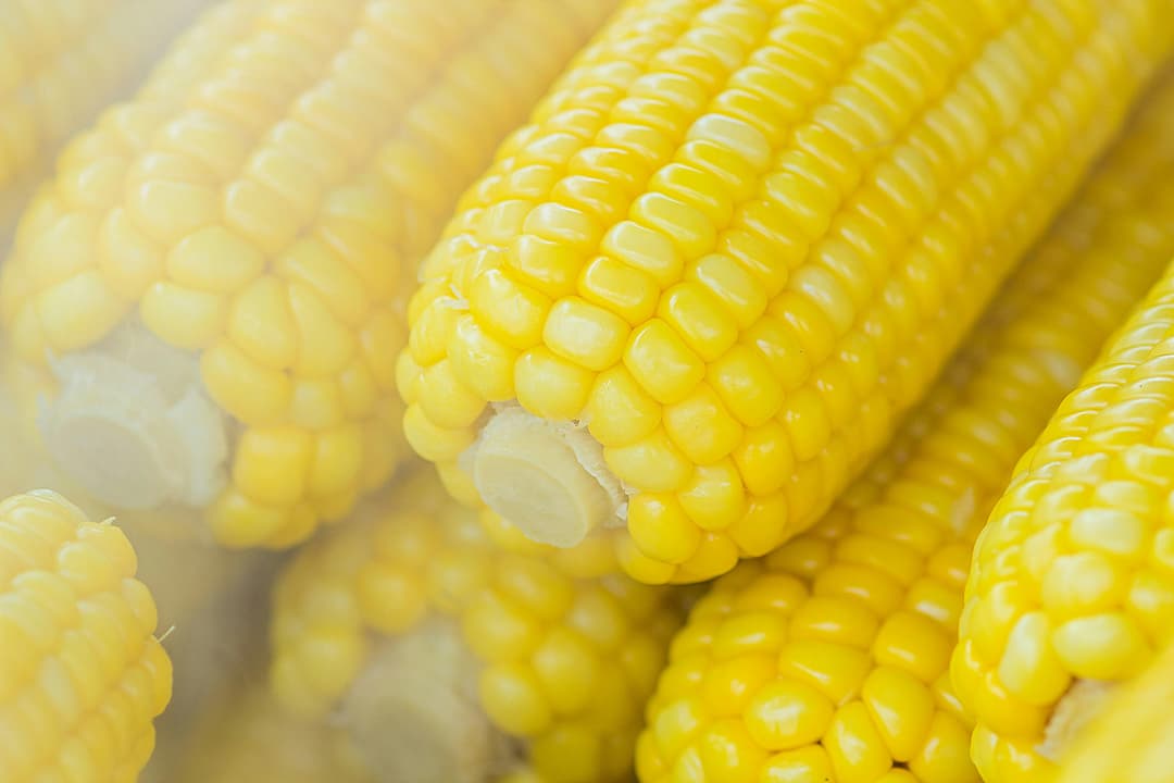 Corn image