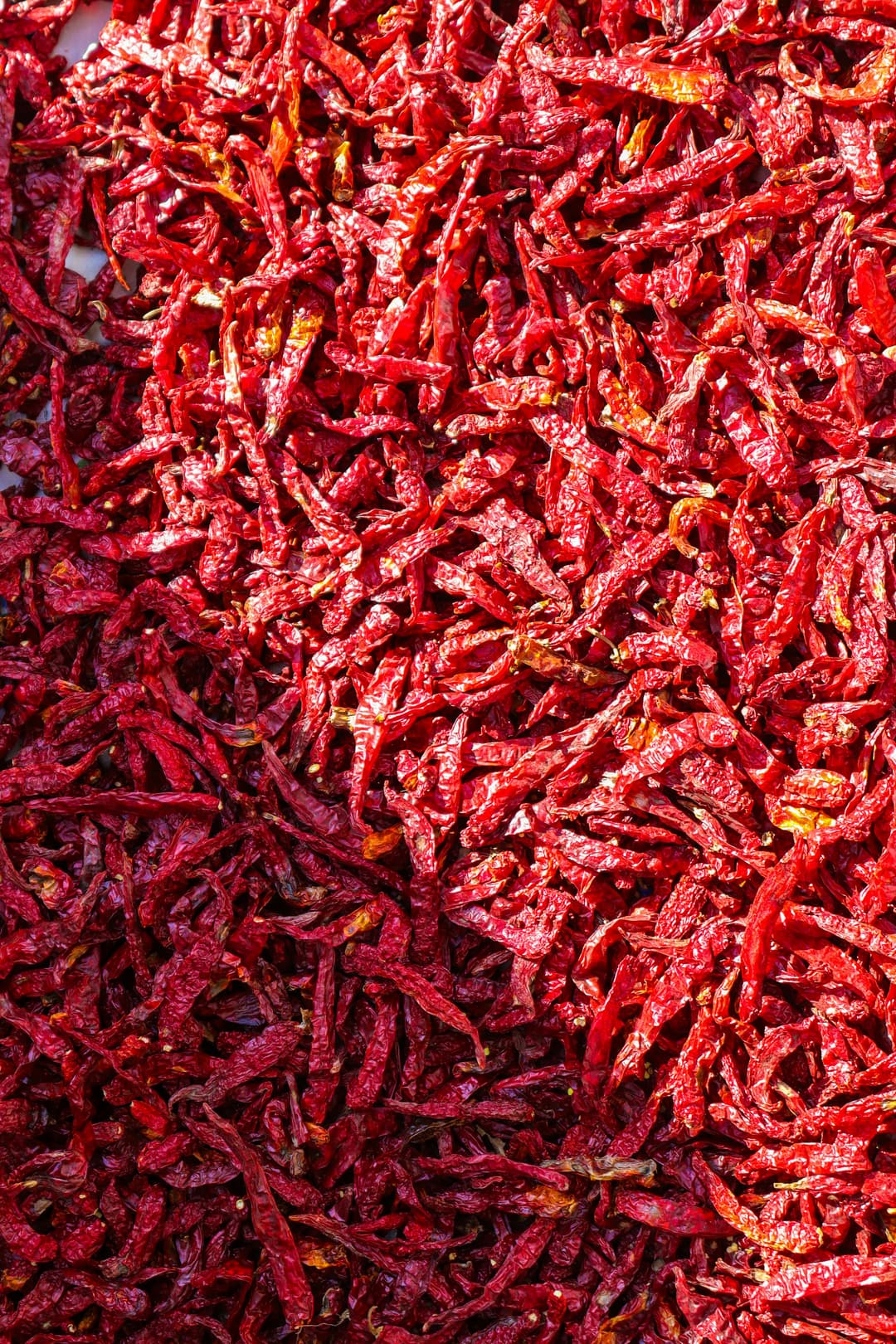 Red Chilli image